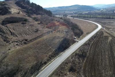 Teren de 2000 mp, în Moșna - 11