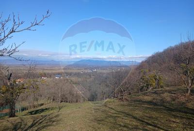 Teren de 3206 mp, în Remecioara - 2
