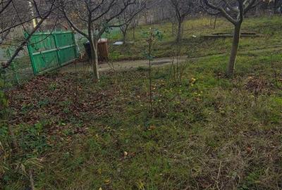 Teren Construcții intravilan de 750 mp, în Bucium - 9