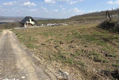 Teren de 700 mp, în Tomești - 4