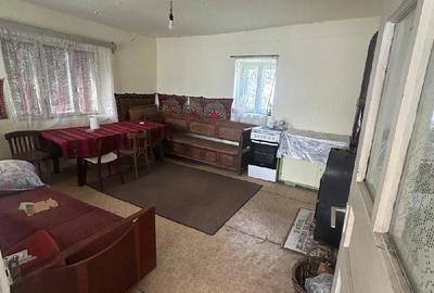 Casă cu 2 camere cu Teren 3465 Mp în Vale - 1