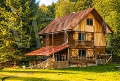 Hotel/Pensiune, de 160 mp, în Mărișel - 1