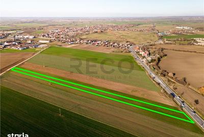 Teren de 5000 mp, în Tămășeu - 4