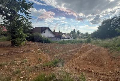 Teren în Griviței - 10