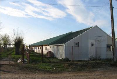 Vand hala multifunctionala Varias - 3