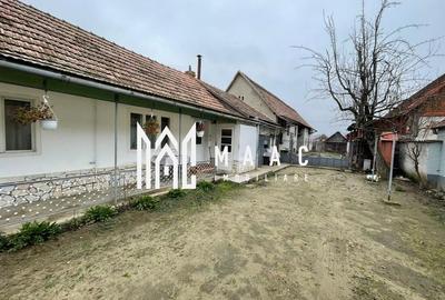 Casă I Teren de 4.500 mp I Anexe I Seica Mare - 10