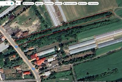 Teren perfect pentru construcție (2797mp) grădină, Olari – toate utilitățile, - 5