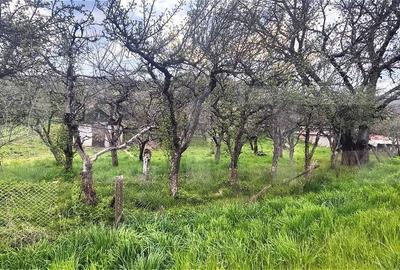 Spațiu comercial, în Gemenea-Brătulești - 11