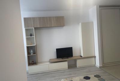 Garsonieră decomandată, mobilată în Theodor Pallady - 2