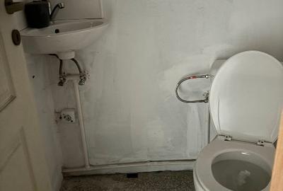 Imobil  comercial in  Zona  bailor Telega, spre  Crucea Domnitorului - 5