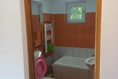 Casa individuală 3 camere in Dezmir - 3