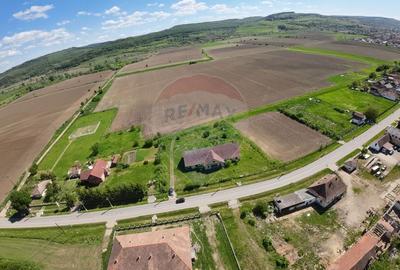Teren Construcții intravilan de 3436 mp, în Hoghilag - 8