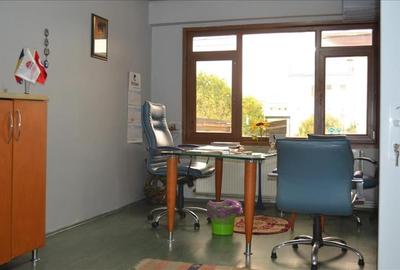 Vanzare sau inchiriere imobil sos Chitilei - 9