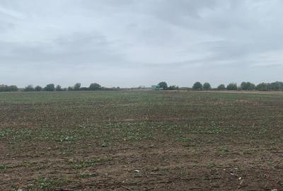 Teren Construcții intravilan de 22509 mp, în Tunari - 2