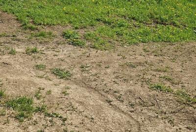 Teren de 1536 mp, în Ceuaș - 6