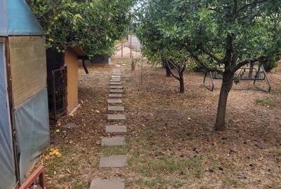 CASA SUPERBA 4 CAMERE ZONA VALU LUI TRAIAN 933MP - 31