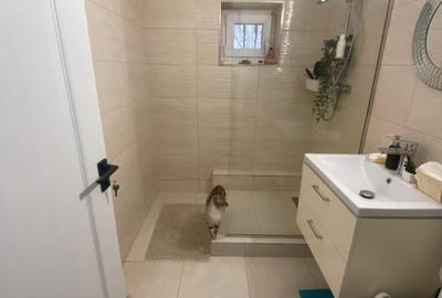 Apartament cu 3 camere decomandat, mobilat în Vitan Mall - 3