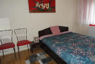 Apartament 3 camere, 2 bai, etaj 2, Micalaca, la cheie, renovat, mobilat si utilat - 8