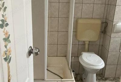 Inchiriez apartament 1 camera Arad - 8