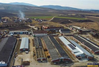 Spațiu comercial, în Boroșneu Mare - 17