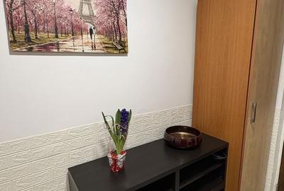 Apartament cu 3 camere decomandat, mobilat în Apărătorii Patriei - 19
