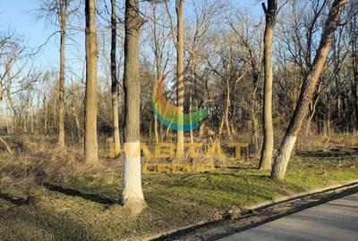 Spațiu comercial, în Adunații-Copăceni - 4