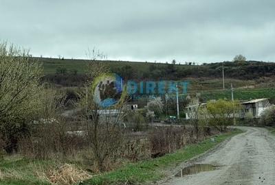 Spațiu comercial, în Central