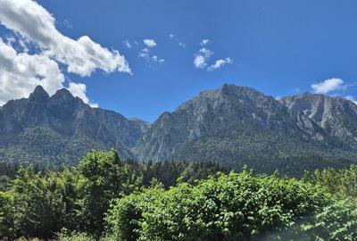 Apartament cu 2 camere + loc de parcare - Busteni - Zamora - 6