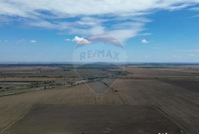 Teren de 27500 mp, în Tișița - 1