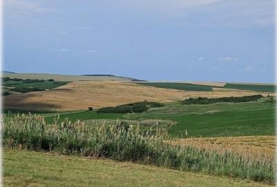 Teren de 1497 mp, în Aroneanu - 4