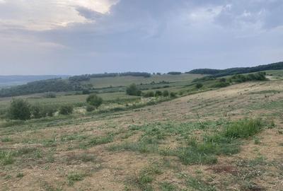 Spațiu comercial, în Central - 7