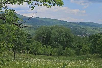 Teren de 600 mp, în Ghioșești - 7