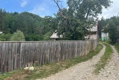 Casă tradițională în Valea Zălanului – acoperiș refacut teren 1.690 m² Casă tradițională în Valea Zălanului – acoperiș refacut teren 1.690 m² - 10
