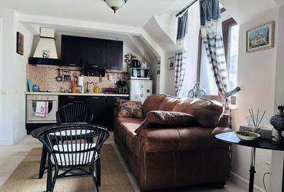 Apartament cu 2 camere semidecomandat, mobilat în Furnica - 7
