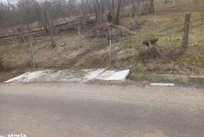 Teren de 3100 mp, în Berislăvești - 2