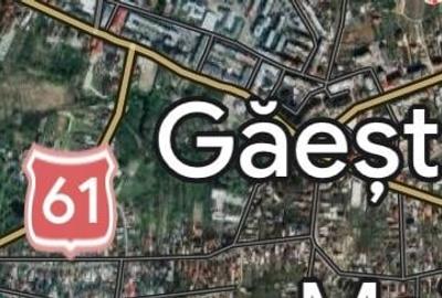 Teren Construcții intravilan de 44000 mp, în Dascălu - 8