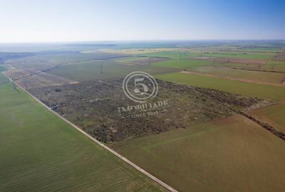Ocazie- Teren Intravilan de Vanzare- Peris Snagov- Doar 10 euro/mp - 7