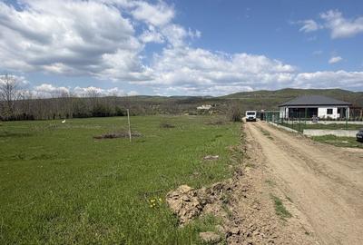 Spațiu comercial, în Vernești - 3