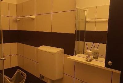 Garsonieră decomandată în Costin Georgian - 13