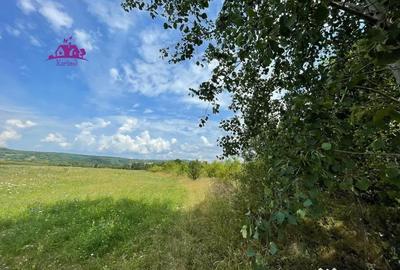 Teren de 3382 mp, în Meziad - 5