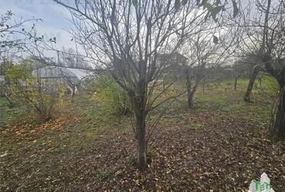 Teren 2000mp intre case langa Padurea Teghes - 1