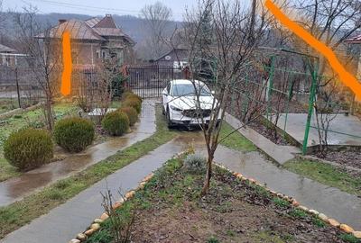 Leordeni -Arges - 11