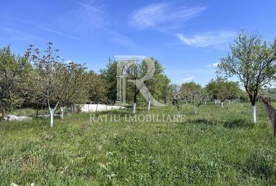 Casă cu 1 camere cu Teren 3000 Mp în Copăcel - 15