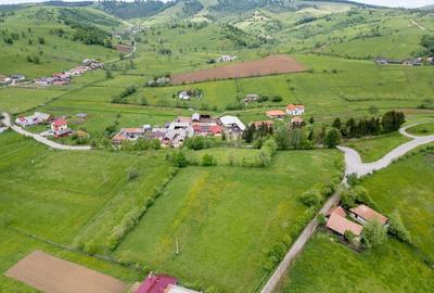 Spațiu comercial, în Barcani - 7