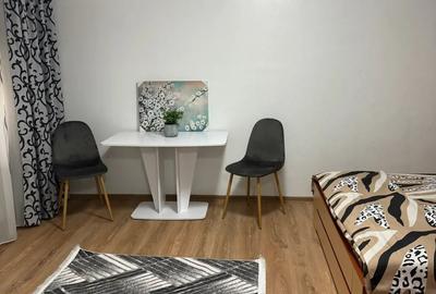 Vand apartament 1 camera parter - 7