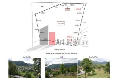 Teren intravilan 3214 mp  în Rucăr cu deschidere 56 m în DN73 - 2