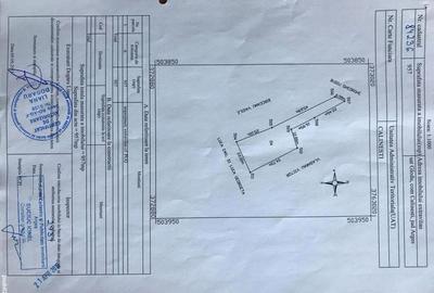 Casă cu 3 camere cu Teren 3000 Mp în Gorganu - 2