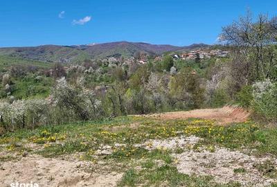 Teren de 1600 mp, în Pucheni - 2