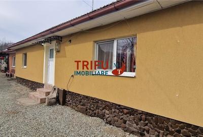 Casă cu 2 camere cu Teren 437 Mp în Ighiu - 16