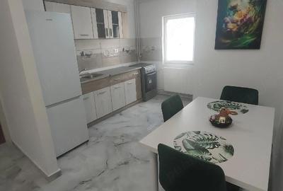 Apartament cu 2 camere semidecomandat în Șagului